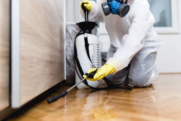 Best Spider Control Near Me  in Warner Robins, GA