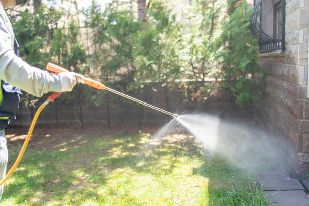 Best Rodent Control Near Me  in Warner Robins, GA