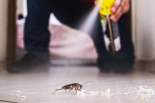 Wildlife Control Services in Warner Robins, GA