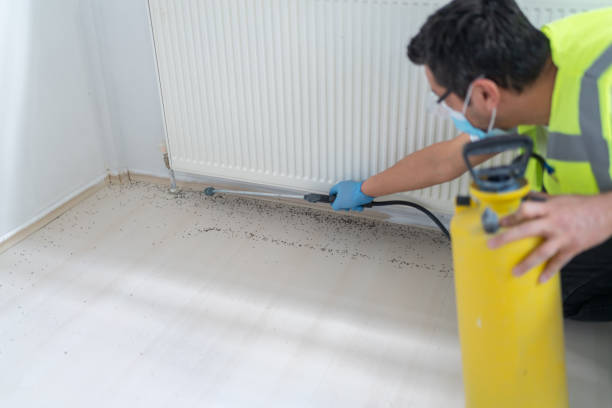 Best Residential Pest Control  in Warner Robins, GA