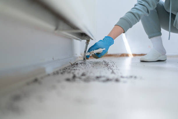 Best Pest Prevention Services  in Warner Robins, GA