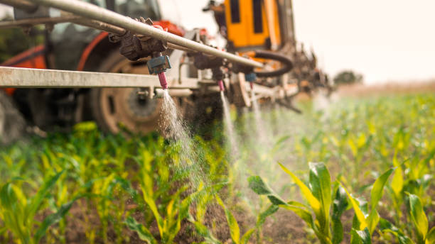 Best Mosquito Control Services  in Warner Robins, GA
